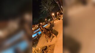 [1935 of 2462 Vids] Edwinacarlaisaac (Edwina) OnlyFans Leaks Nude Ebony