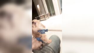 [2062 of 2462 Vids] Edwinacarlaisaac (Edwina) OnlyFans Leaks Nude Ebony