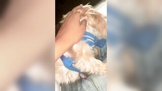 [2063 of 2462 Vids] Edwinacarlaisaac (Edwina) OnlyFans Leaks Nude Ebony