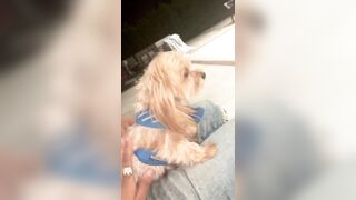 [2063 of 2462 Vids] Edwinacarlaisaac (Edwina) OnlyFans Leaks Nude Ebony