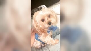 [2063 of 2462 Vids] Edwinacarlaisaac (Edwina) OnlyFans Leaks Nude Ebony