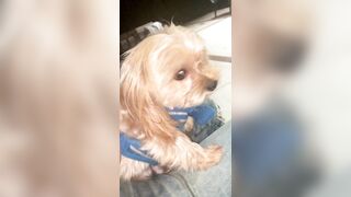 [2063 of 2462 Vids] Edwinacarlaisaac (Edwina) OnlyFans Leaks Nude Ebony