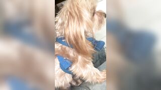 [2063 of 2462 Vids] Edwinacarlaisaac (Edwina) OnlyFans Leaks Nude Ebony