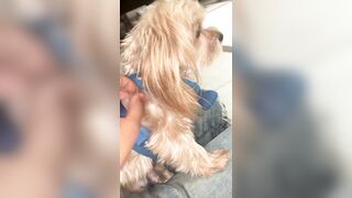 [2063 of 2462 Vids] Edwinacarlaisaac (Edwina) OnlyFans Leaks Nude Ebony