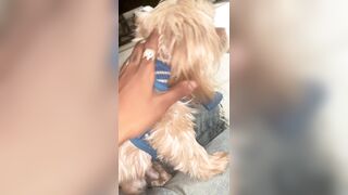 [2063 of 2462 Vids] Edwinacarlaisaac (Edwina) OnlyFans Leaks Nude Ebony