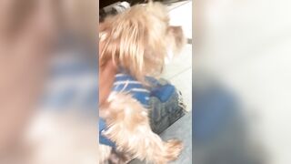 [2063 of 2462 Vids] Edwinacarlaisaac (Edwina) OnlyFans Leaks Nude Ebony