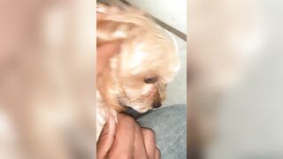 [2063 of 2462 Vids] Edwinacarlaisaac (Edwina) OnlyFans Leaks Nude Ebony