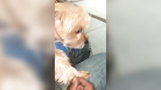 [2063 of 2462 Vids] Edwinacarlaisaac (Edwina) OnlyFans Leaks Nude Ebony