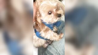 [2063 of 2462 Vids] Edwinacarlaisaac (Edwina) OnlyFans Leaks Nude Ebony