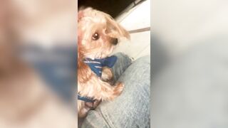 [2063 of 2462 Vids] Edwinacarlaisaac (Edwina) OnlyFans Leaks Nude Ebony