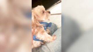 [2063 of 2462 Vids] Edwinacarlaisaac (Edwina) OnlyFans Leaks Nude Ebony