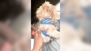 [2063 of 2462 Vids] Edwinacarlaisaac (Edwina) OnlyFans Leaks Nude Ebony