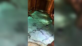 [2073 of 2462 Vids] Edwinacarlaisaac (Edwina) OnlyFans Leaks Nude Ebony