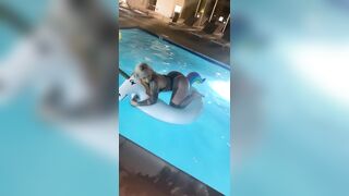 [2100 of 2462 Vids] Edwinacarlaisaac (Edwina) OnlyFans Leaks Nude Ebony