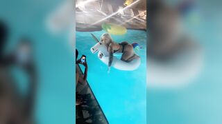 [2130 of 2462 Vids] Edwinacarlaisaac (Edwina) OnlyFans Leaks Nude Ebony