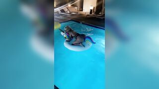 [2131 of 2462 Vids] Edwinacarlaisaac (Edwina) OnlyFans Leaks Nude Ebony