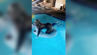 [2131 of 2462 Vids] Edwinacarlaisaac (Edwina) OnlyFans Leaks Nude Ebony