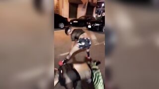 [2150 of 2462 Vids] Edwinacarlaisaac (Edwina) OnlyFans Leaks Nude Ebony