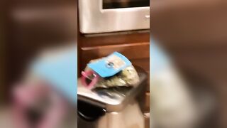 [2254 of 2462 Vids] Edwinacarlaisaac (Edwina) OnlyFans Leaks Nude Ebony