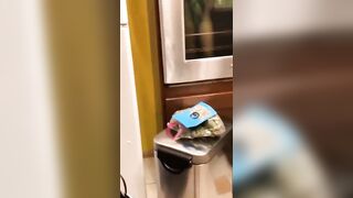 [2254 of 2462 Vids] Edwinacarlaisaac (Edwina) OnlyFans Leaks Nude Ebony