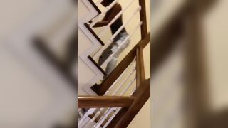 [2258 of 2462 Vids] Edwinacarlaisaac (Edwina) OnlyFans Leaks Nude Ebony