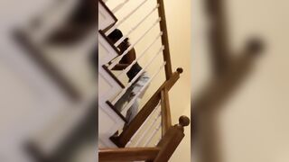 [2258 of 2462 Vids] Edwinacarlaisaac (Edwina) OnlyFans Leaks Nude Ebony