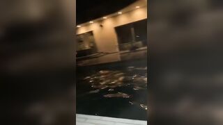 [2302 of 2462 Vids] Edwinacarlaisaac (Edwina) OnlyFans Leaks Nude Ebony