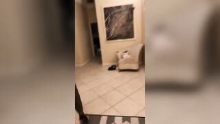 [2317 of 2462 Vids] Edwinacarlaisaac (Edwina) OnlyFans Leaks Nude Ebony