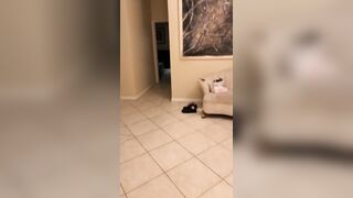 [2317 of 2462 Vids] Edwinacarlaisaac (Edwina) OnlyFans Leaks Nude Ebony