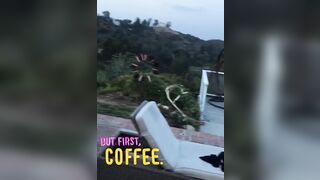 [2321 of 2462 Vids] Edwinacarlaisaac (Edwina) OnlyFans Leaks Nude Ebony