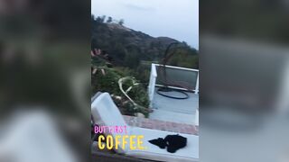 [2321 of 2462 Vids] Edwinacarlaisaac (Edwina) OnlyFans Leaks Nude Ebony