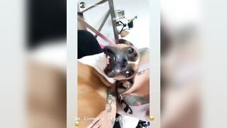 [2371 of 2462 Vids] Edwinacarlaisaac (Edwina) OnlyFans Leaks Nude Ebony