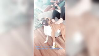 [2373 of 2462 Vids] Edwinacarlaisaac (Edwina) OnlyFans Leaks Nude Ebony