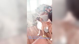 [2373 of 2462 Vids] Edwinacarlaisaac (Edwina) OnlyFans Leaks Nude Ebony