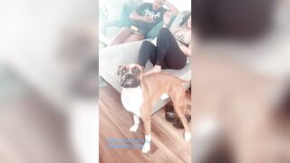 [2374 of 2462 Vids] Edwinacarlaisaac (Edwina) OnlyFans Leaks Nude Ebony