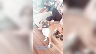 [2374 of 2462 Vids] Edwinacarlaisaac (Edwina) OnlyFans Leaks Nude Ebony