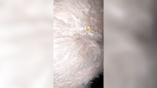 [2440 of 2462 Vids] Edwinacarlaisaac (Edwina) OnlyFans Leaks Nude Ebony