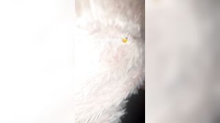 [2440 of 2462 Vids] Edwinacarlaisaac (Edwina) OnlyFans Leaks Nude Ebony