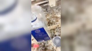 [2462 of 2462 Vids] Edwinacarlaisaac (Edwina) OnlyFans Leaks Nude Ebony