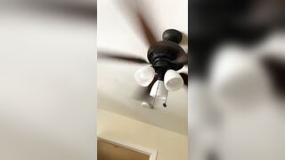 [298 of 2462 Vids] Edwinacarlaisaac (Edwina) OnlyFans Leaks Nude Ebony