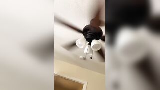 [298 of 2462 Vids] Edwinacarlaisaac (Edwina) OnlyFans Leaks Nude Ebony