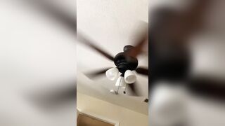 [298 of 2462 Vids] Edwinacarlaisaac (Edwina) OnlyFans Leaks Nude Ebony