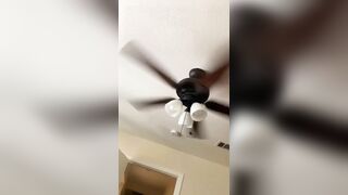 [298 of 2462 Vids] Edwinacarlaisaac (Edwina) OnlyFans Leaks Nude Ebony