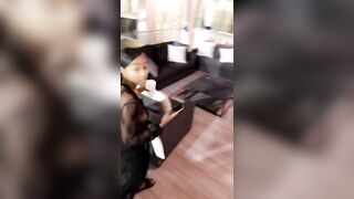 [375 of 2462 Vids] Edwinacarlaisaac (Edwina) OnlyFans Leaks Nude Ebony