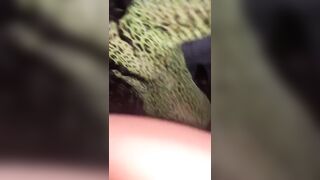 [441 of 2462 Vids] Edwinacarlaisaac (Edwina) OnlyFans Leaks Nude Ebony