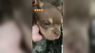 [507 of 2462 Vids] Edwinacarlaisaac (Edwina) OnlyFans Leaks Nude Ebony