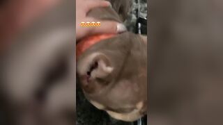 [507 of 2462 Vids] Edwinacarlaisaac (Edwina) OnlyFans Leaks Nude Ebony