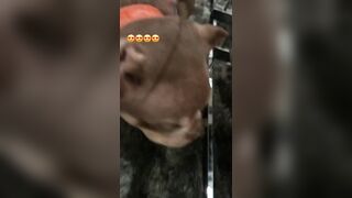 [507 of 2462 Vids] Edwinacarlaisaac (Edwina) OnlyFans Leaks Nude Ebony