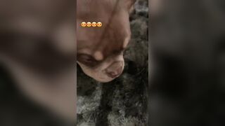 [507 of 2462 Vids] Edwinacarlaisaac (Edwina) OnlyFans Leaks Nude Ebony