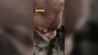 [507 of 2462 Vids] Edwinacarlaisaac (Edwina) OnlyFans Leaks Nude Ebony